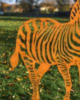 125cm Sheet Steel Rustic Zebra Garden Silhouette in Situ