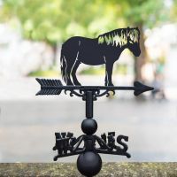 Shetland Pony Weathervane in Situ in the Garden