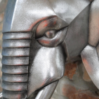 Close-up of the Face of the Elephant 