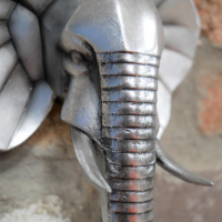 Close-up of the Face of the Elephant 
