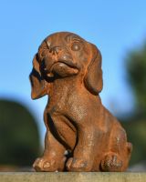 Sitting Dog Garden Sculpture On Wall Looking Up