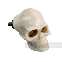 Skull Cabinet Knob