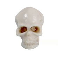 Skull Design Cabinet Knob