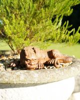Sleeping Cast Iron Dragon Sculpture Side View