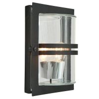 Slim Black Steel "Ettington" Clear Outdoor Wall Light