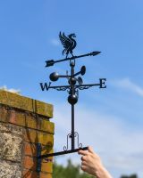 Scale Shot of Slim Steel Liver Bird Weathervane