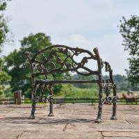 Rear view of Cast Iron Aged Black Branch Garden Bench