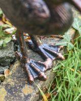 Close up Sparkys Gold Bronze Feet Bird Metal Sculpture 
