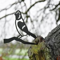 Sparrow Tree Spike in Situ