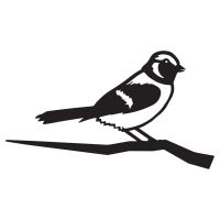 Sparrow Tree Spike Created From Iron