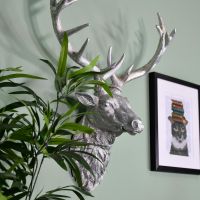 View From the Side of the Silver Stag on a Green Wall