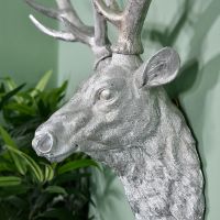 Close-up of the Stag Head Wall Bust