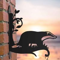 Steel Badger Hanging Basket Bracket in Situ