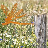 Rustic Steel Dragonfly Tree Spike