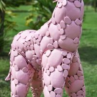 Close-Up of Pink Finish