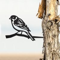 Black Steel Reed Bunting Tree Spike in Situ