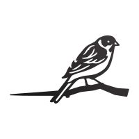 Close-Up of Steel Reed Bunting Tree Spike - Black