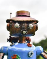 Close up of Stray Robot Head