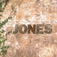 Rustic finish individual letters "JONES"