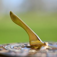 The Sundial Gnomon
