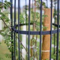 Close-Up of Finish on "Titan" Tree Guard - Black