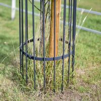 Close-Up of Base of "Titan" Tree Guard - Black