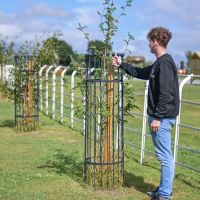 "Titan" Tree Guard - Black to Scale