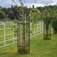 "Titan" Tree Guard - Black in Situ