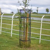 Black "Titan" Tree Guard in Isolation