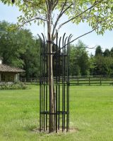 Robust Tree Guard With a Black Finish 