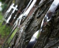 “Kratos” contemporary stainless steel tree guards