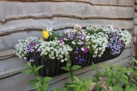 “Beeston” Rural Wall Mounted “Hay feeder” Style Garden Planter