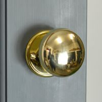 Polished Brass Door Knobs