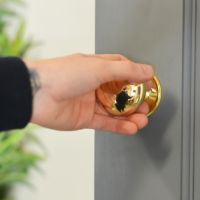 Mushroom Style Door Knobs in Polished Brass 