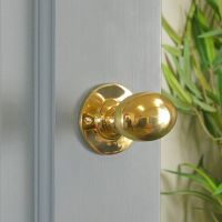 Oval Door Knob Set in Polished Brass