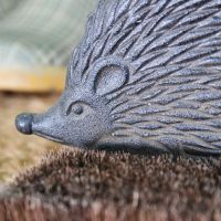 Close up of hedgehog face with detailing 