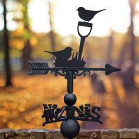 Black Weathervane with Robin Design 