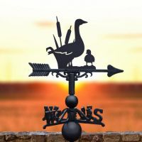 Duck and Duckling Weathervane in the Sun Set