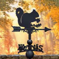 Weathervane Squirrel 