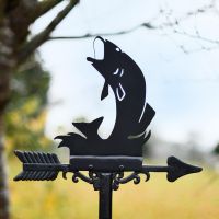 Fish Design on Weathervane 