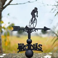 Cyclist Weathervane in Situ