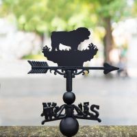 Bulldog Weathervane in Situ