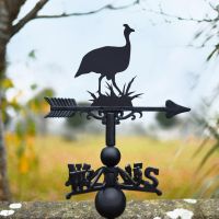 Guinea Fowl Weathervane in Situ