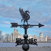Liver Bird Weathervane