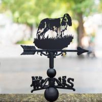 Weathervane with Springer Spaniel Design 