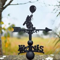 Bear & Balloon Weathervane in Situ 