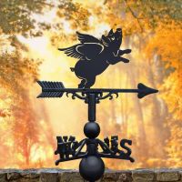 Weathervane with Flying Pig Design 