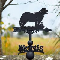 Weathervane with Newfoundland Dog Design 