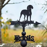 Black Weathervane with Hungarian Vizsla 