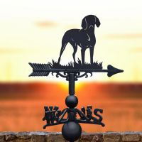 Weathervane of Hungarian Vizsla 